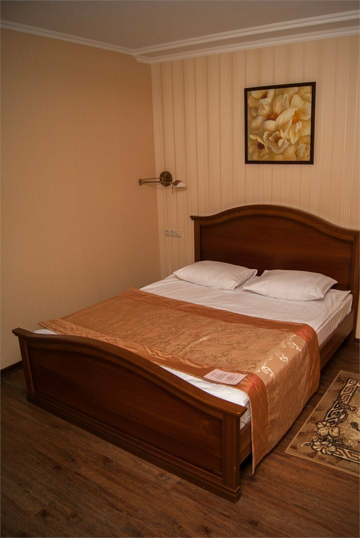 Гостиница Пионер Люкс Саратов