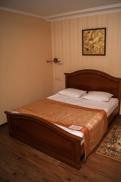 Гостиница Пионер Люкс Саратов-14