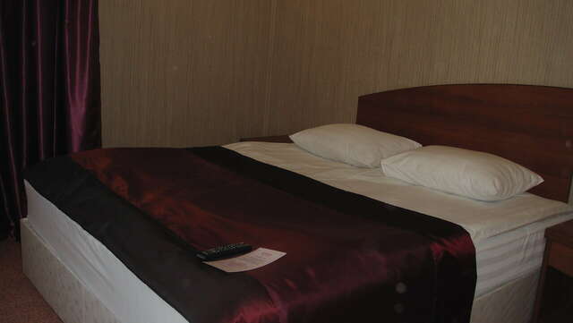 Гостиница Пионер Люкс Саратов-233